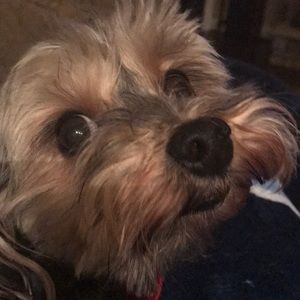 Meet your Posher, Elena